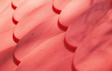 Beecroft plastic roof costs